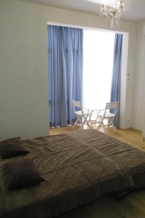 Apartment on ulitsa Voykova 27